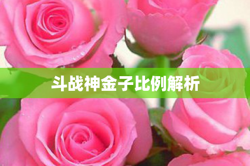 斗战神金子比例解析 斗战神金子比例解析