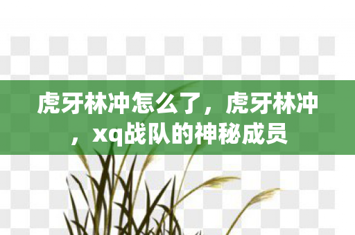 虎牙林冲怎么了,虎牙林冲,xq战队的神秘成员 虎牙林冲怎么了,虎牙林冲,xq战队的神秘成员
