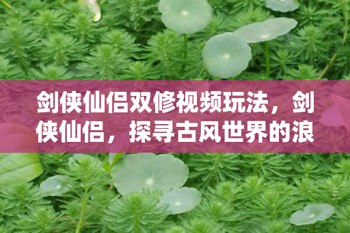 剑侠仙侣双修视频玩法,剑侠仙侣,探寻古风世界的浪漫与传奇 剑侠仙侣双修视频玩法,剑侠仙侣,探寻古风世界的浪漫与传奇