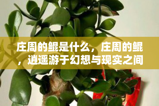 庄周的鲲是什么,庄周的鲲,逍遥游于幻想与现实之间 庄周的鲲是什么,庄周的鲲,逍遥游于幻想与现实之间