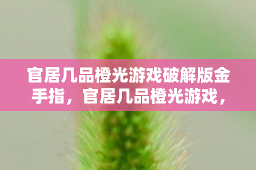 官居几品橙光游戏破解版金手指,官居几品橙光游戏,古风权谋的沉浸式体验 官居几品橙光游戏破解版金手指,官居几品橙光游戏,古风权谋的沉浸式体验
