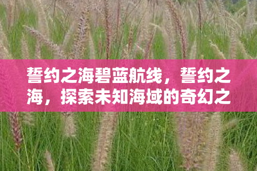 誓约之海碧蓝航线,誓约之海,探索未知海域的奇幻之旅 誓约之海碧蓝航线,誓约之海,探索未知海域的奇幻之旅