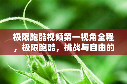 极限跑酷视频第一视角全程,极限跑酷,挑战与自由的边界 极限跑酷视频第一视角全程,极限跑酷,挑战与自由的边界