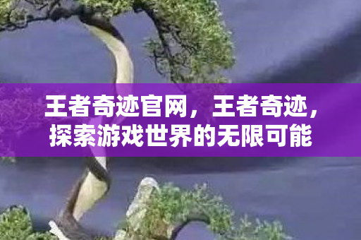 王者奇迹官网,王者奇迹,探索游戏世界的无限可能 王者奇迹官网,王者奇迹,探索游戏世界的无限可能