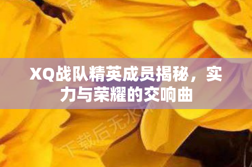 XQ战队精英成员揭秘图片
