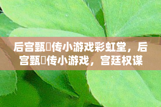 后宫甄嬛传小游戏彩虹堂图片