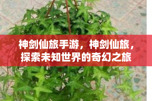 神剑仙旅手游,神剑仙旅,探索未知世界的奇幻之旅 神剑仙旅手游,神剑仙旅,探索未知世界的奇幻之旅