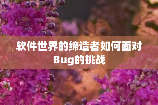 软件世界的缔造者如何面对Bug的挑战 软件世界的缔造者如何面对Bug的挑战