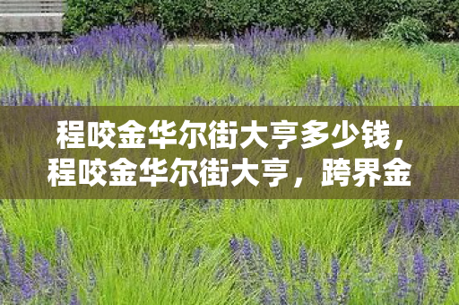 程咬金华尔街大亨多少钱,程咬金华尔街大亨,跨界金融的传奇故事 程咬金华尔街大亨多少钱,程咬金华尔街大亨,跨界金融的传奇故事