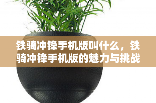 铁骑冲锋手机版叫什么,铁骑冲锋手机版的魅力与挑战 铁骑冲锋手机版叫什么,铁骑冲锋手机版的魅力与挑战
