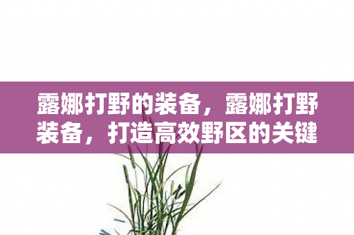 露娜打野的装备,露娜打野装备,打造高效野区的关键 露娜打野的装备,露娜打野装备,打造高效野区的关键