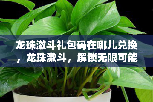龙珠激斗礼包码在哪儿兑换图片
