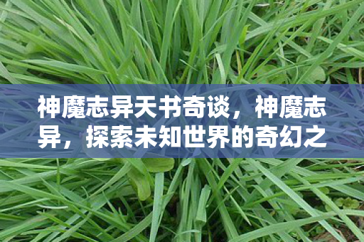 探索未知世界的奇幻之旅图片