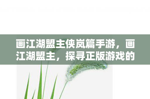 探寻正版游戏的魅力与独特之处图片