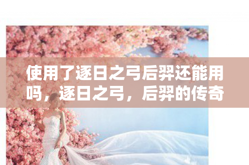 使用了逐日之弓后羿还能用吗图片
