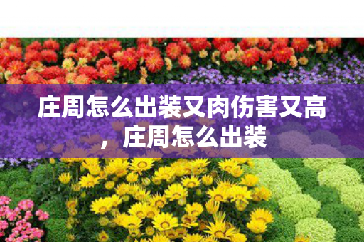 庄周怎么出装又肉伤害又高,庄周怎么出装 庄周怎么出装又肉伤害又高,庄周怎么出装