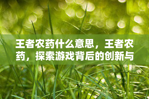 王者农药什么意思,王者农药,探索游戏背后的创新与挑战 王者农药什么意思,王者农药,探索游戏背后的创新与挑战