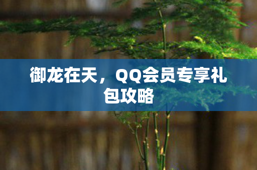 御龙在天,QQ会员专享礼包攻略 御龙在天,QQ会员专享礼包攻略