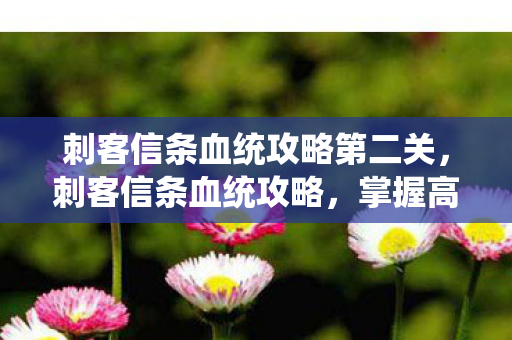 刺客信条血统攻略第二关,刺客信条血统攻略,掌握高效战斗与角色发展的秘密 刺客信条血统攻略第二关,刺客信条血统攻略,掌握高效战斗与角色发展的秘密
