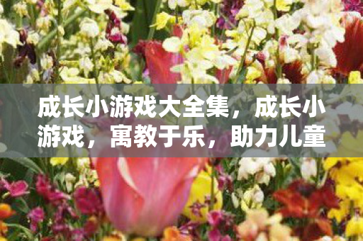 成长小游戏大全集，成长小游戏，寓教于乐，助力儿童全面发展