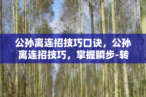 公孙离连招技巧口诀，公孙离连招技巧，掌握瞬步-转身-飞燕