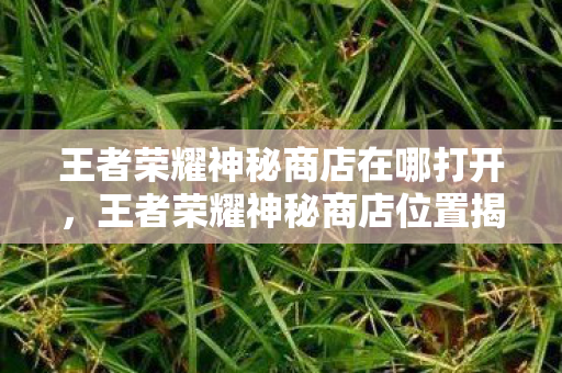 王者荣耀神秘商店在哪打开,王者荣耀神秘商店位置揭秘 王者荣耀神秘商店在哪打开,王者荣耀神秘商店位置揭秘