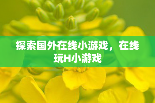 探索国外在线小游戏,在线玩H小游戏 探索国外在线小游戏,在线玩H小游戏