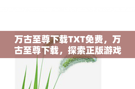 万古至尊下载TXT免费，万古至尊下载，探索正版游戏的魅力与乐趣