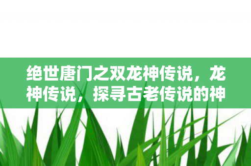 绝世唐门之双龙神传说，龙神传说，探寻古老传说的神秘面纱