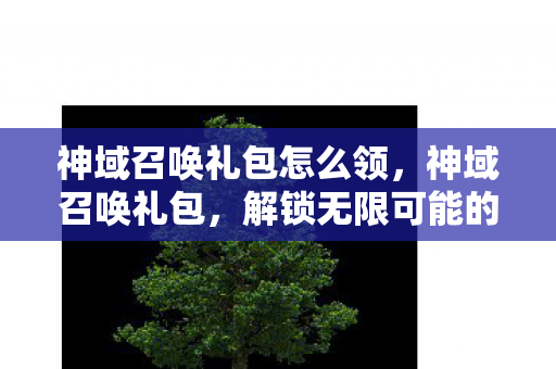 神域召唤礼包怎么领,神域召唤礼包,解锁无限可能的神秘钥匙 神域召唤礼包怎么领,神域召唤礼包,解锁无限可能的神秘钥匙