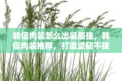 韩信肉装怎么出装最强，韩信肉装推荐，打造坚韧不拔的战士