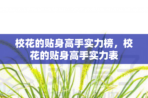 校花的贴身高手实力榜,校花的贴身高手实力表 校花的贴身高手实力榜,校花的贴身高手实力表