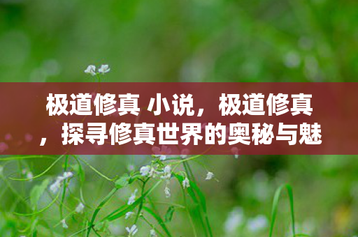 极道修真 小说,极道修真,探寻修真世界的奥秘与魅力 极道修真 小说,极道修真,探寻修真世界的奥秘与魅力