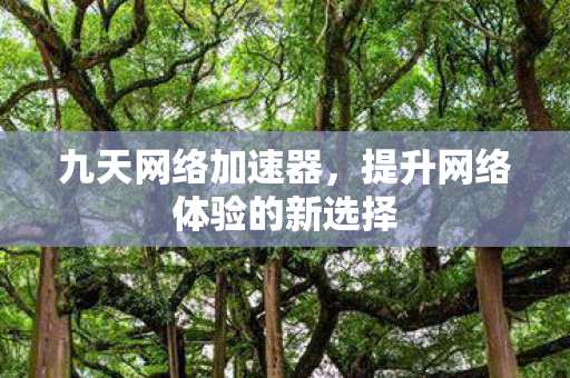 九天网络加速器,提升网络体验的新选择 九天网络加速器,提升网络体验的新选择
