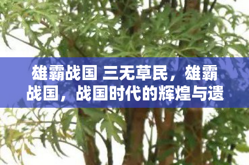 雄霸战国 三无草民,雄霸战国,战国时代的辉煌与遗产 雄霸战国 三无草民,雄霸战国,战国时代的辉煌与遗产
