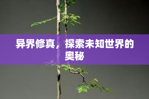 异界修真,探索未知世界的奥秘 异界修真,探索未知世界的奥秘