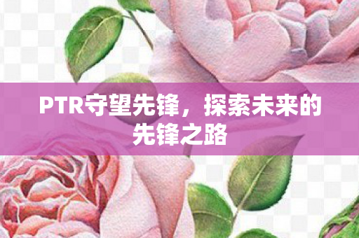 PTR守望先锋,探索未来的先锋之路 PTR守望先锋,探索未来的先锋之路