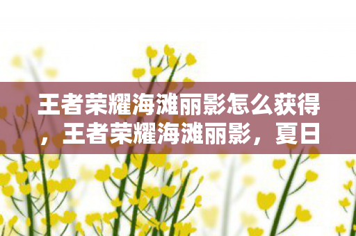 王者荣耀海滩丽影怎么获得，王者荣耀海滩丽影，夏日海滩的浪漫邂逅