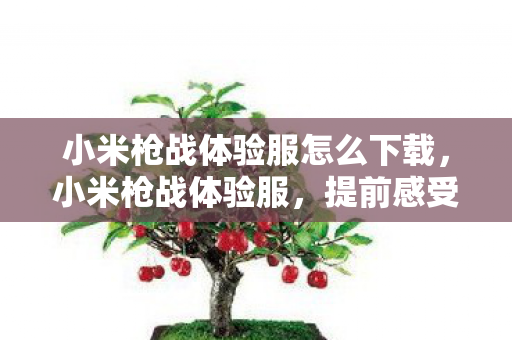 小米枪战体验服怎么下载,小米枪战体验服,提前感受未来战场的刺激 小米枪战体验服怎么下载,小米枪战体验服,提前感受未来战场的刺激