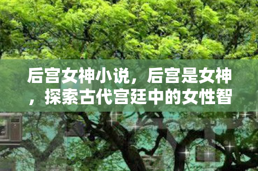 探索古代宫廷中的女性智慧与魅力图片