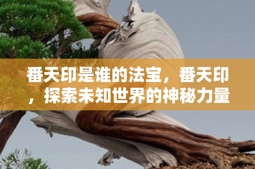 番天印是谁的法宝,番天印,探索未知世界的神秘力量 番天印是谁的法宝,番天印,探索未知世界的神秘力量