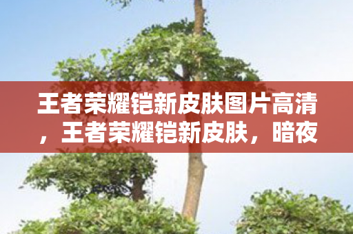 王者荣耀铠新皮肤图片高清，王者荣耀铠新皮肤，暗夜之影，尽显王者风范