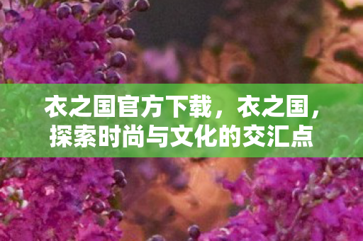 衣之国官方下载，衣之国，探索时尚与文化的交汇点