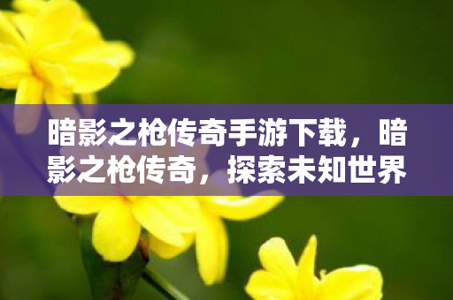 暗影之枪传奇手游下载，暗影之枪传奇，探索未知世界的神秘之旅