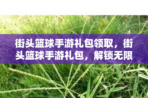 街头篮球手游礼包领取,街头篮球手游礼包,解锁无限可能的运动激情 街头篮球手游礼包领取,街头篮球手游礼包,解锁无限可能的运动激情