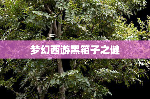 梦幻西游黑箱子之谜 梦幻西游黑箱子之谜