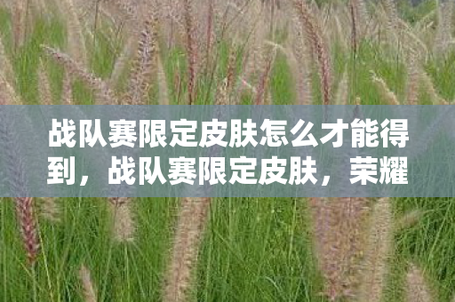 战队赛限定皮肤怎么才能得到,战队赛限定皮肤,荣耀与梦想的象征 战队赛限定皮肤怎么才能得到,战队赛限定皮肤,荣耀与梦想的象征