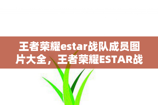 王者荣耀estar战队成员图片大全,王者荣耀ESTAR战队,荣耀背后的力量 王者荣耀estar战队成员图片大全,王者荣耀ESTAR战队,荣耀背后的力量