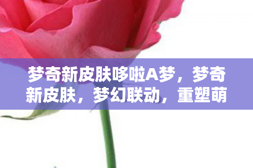 梦奇新皮肤哆啦A梦图片