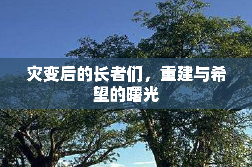 灾变后的长者们，重建与希望的曙光